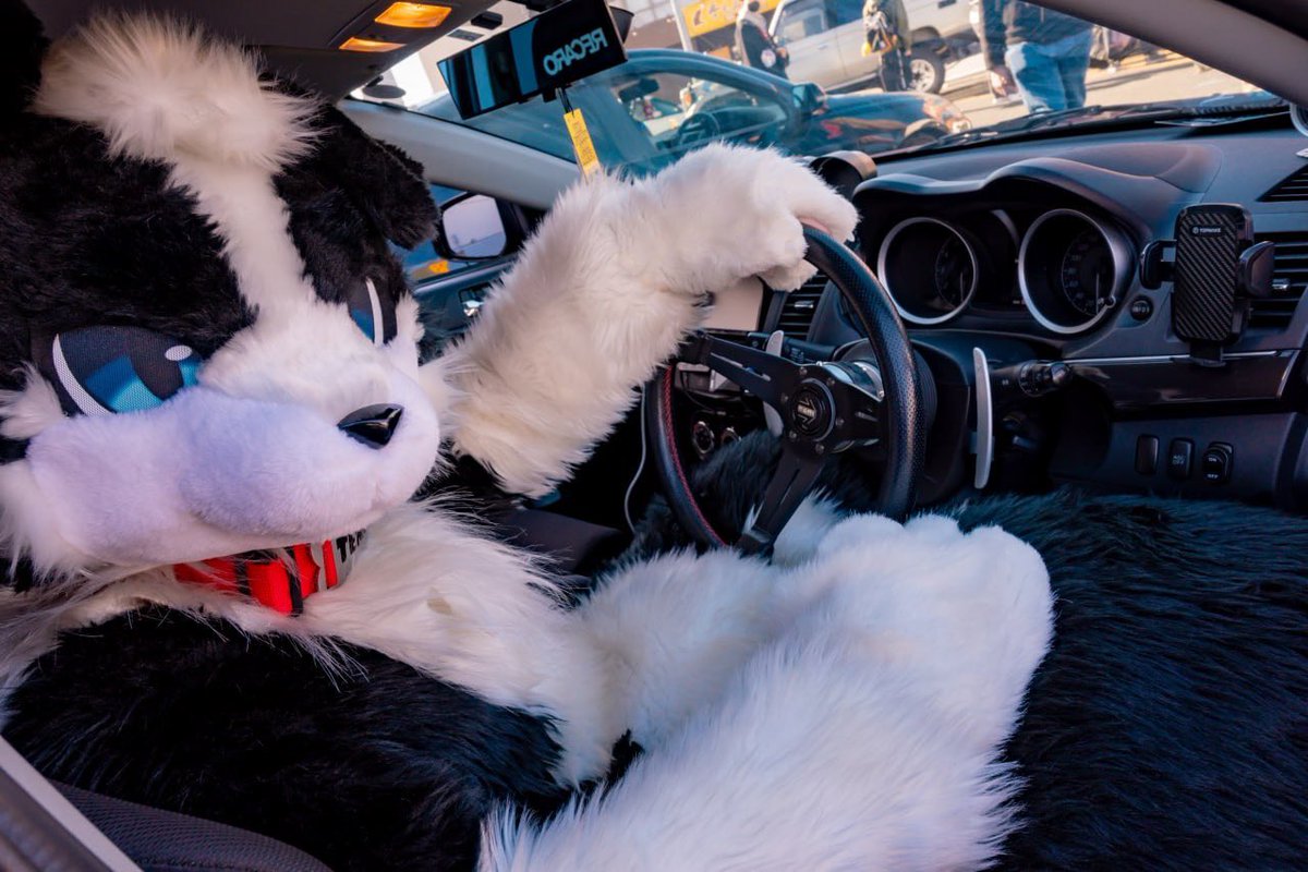 temerea's tweet photo. Sona + What you drive https://t.co/P1EpzP0MxP