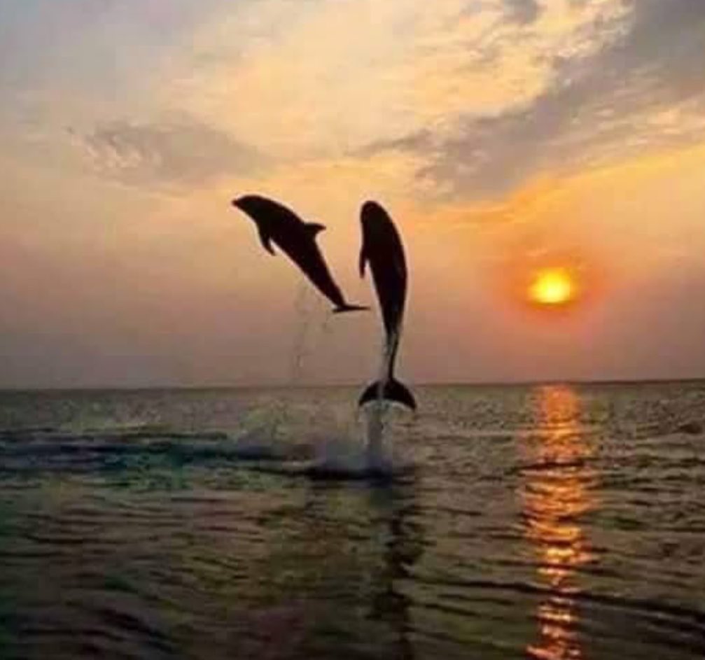 Marie 🏝️💃 tweet media