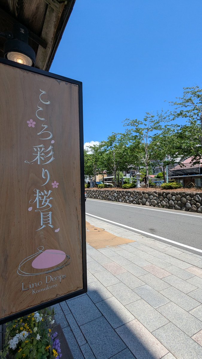 LinoDrops's tweet photo. 初夏のような日差しが降り注ぎ
段葛の新緑は気持ちよさそうに風に靡いています🌿
桜の季節から紫陽花の季節へ
散策の予定を立てられる際はぜひ当店にも足をお運びください☺
#桜貝アクセサリー
#linodrops
#鎌倉 https://t.co/TthmdZ1Q75