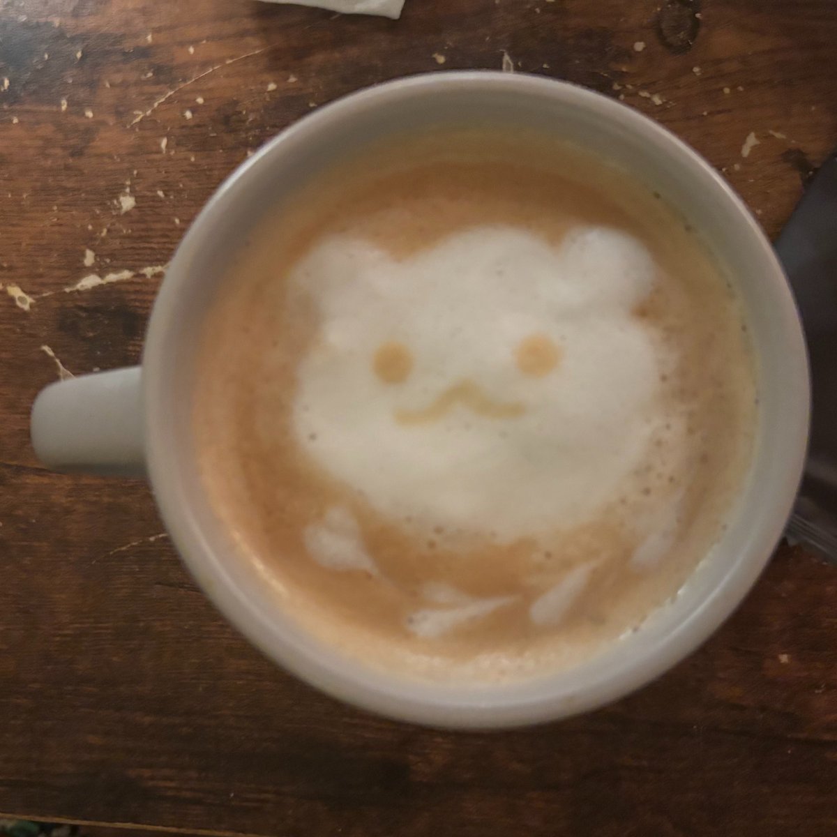 シーシャ カフェ シエスタ shisha cafe Siesta 本山猫洞店 名古屋 tweet media