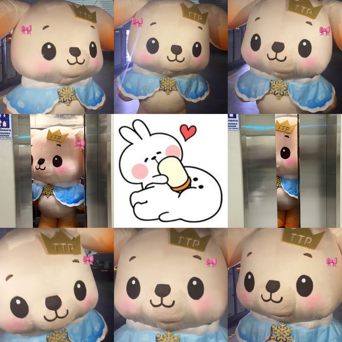 Meaw ⋆𐙚₊˚ tweet media