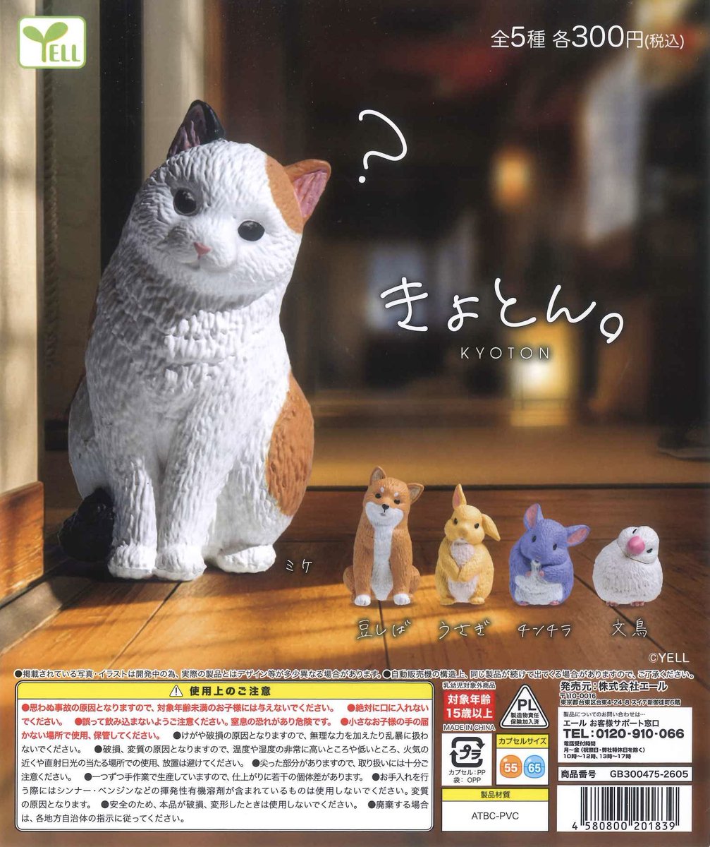 #C-pla 狸小路4丁目店【公式】 tweet media