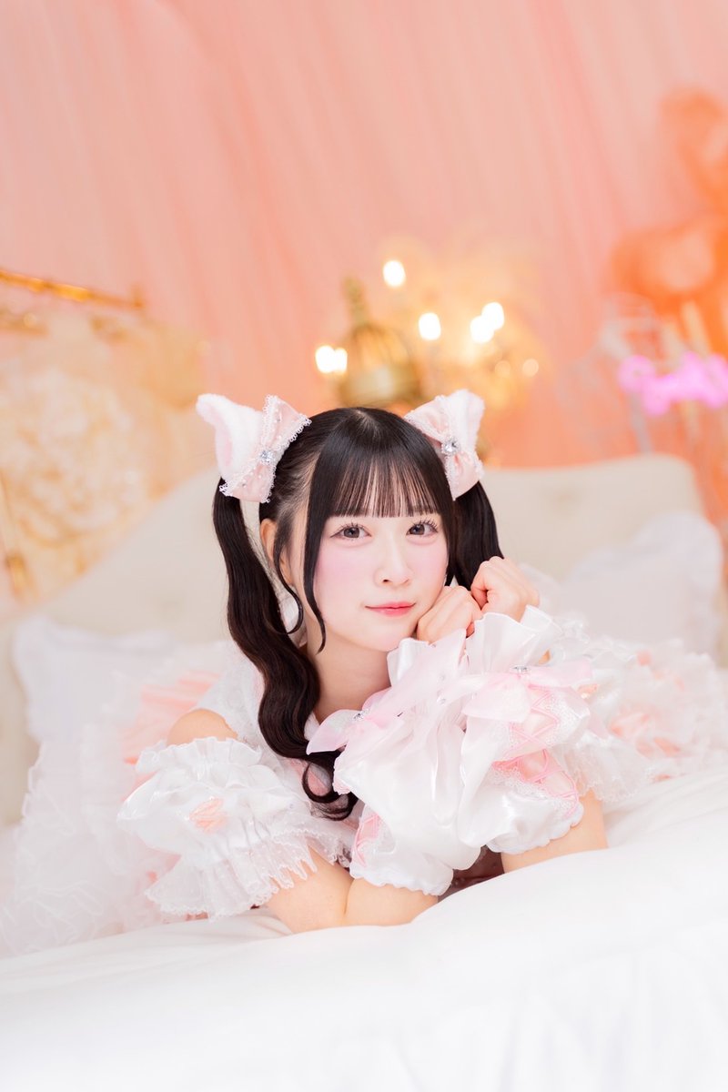 Season Photo Plus📸モデル募集中🥰 tweet media