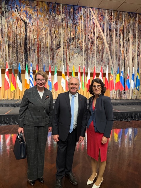 Poland in Australia tweet media
