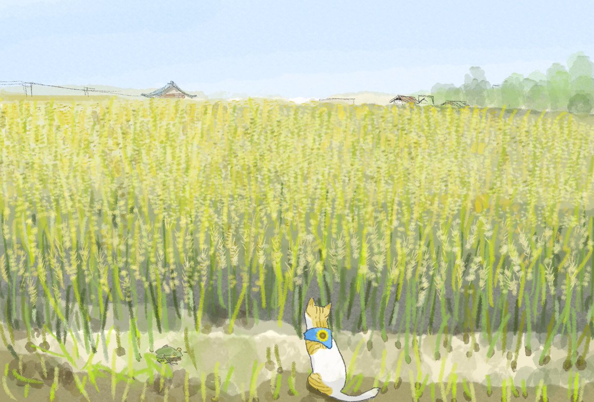 SunflowerMom(Chima)🧑🦰 tweet media