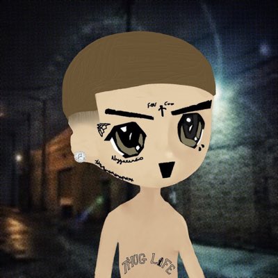 shane ($NIGGA) tweet media