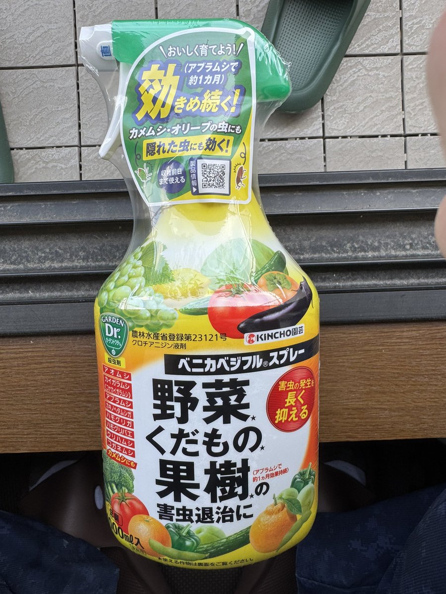 れら tweet media