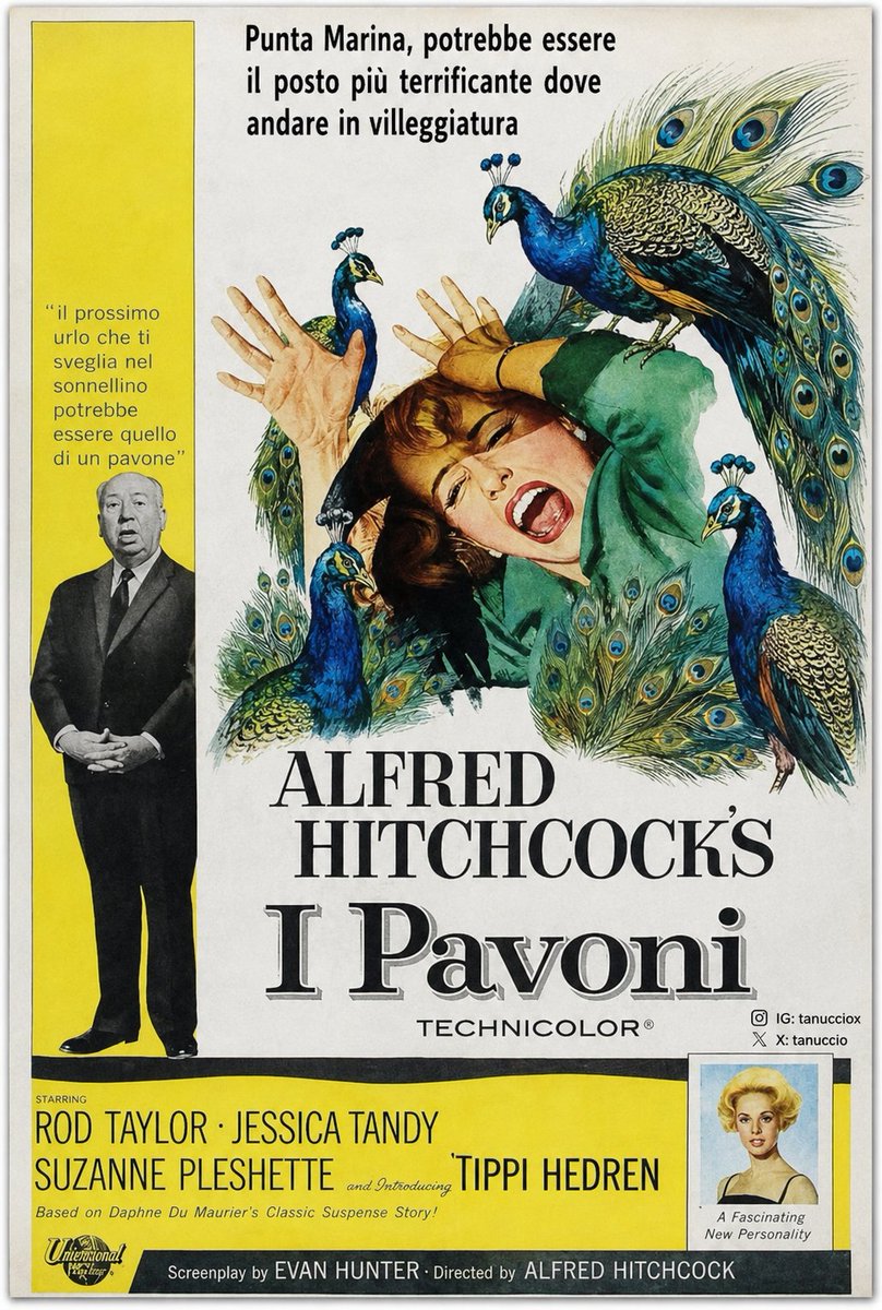Tanuccio tweet media