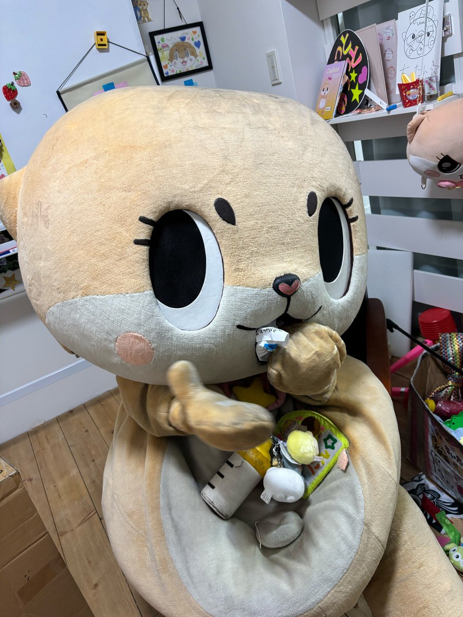 公式：ちぃたん☆大阪 (@Chiitan_Osaka) / Posts / X