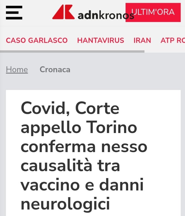 Sabrina F. tweet media