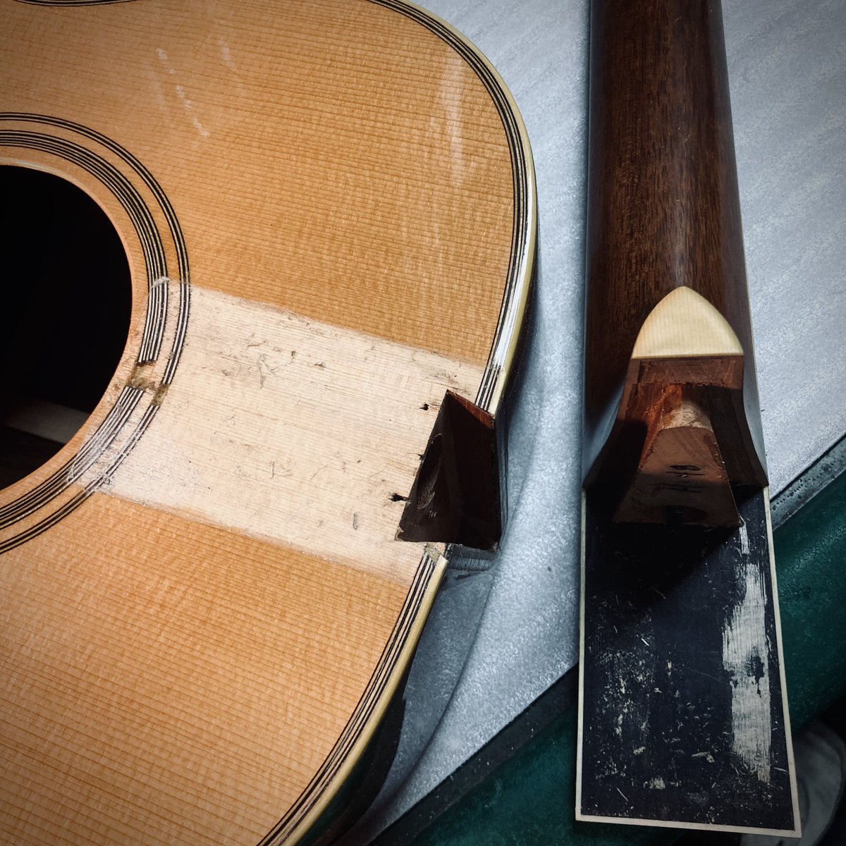 きそ@DolphinGuitars tweet media
