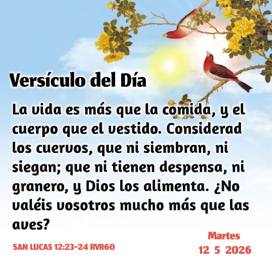 Versículo del Día de hoy Martes 12 de Mayo de 2026