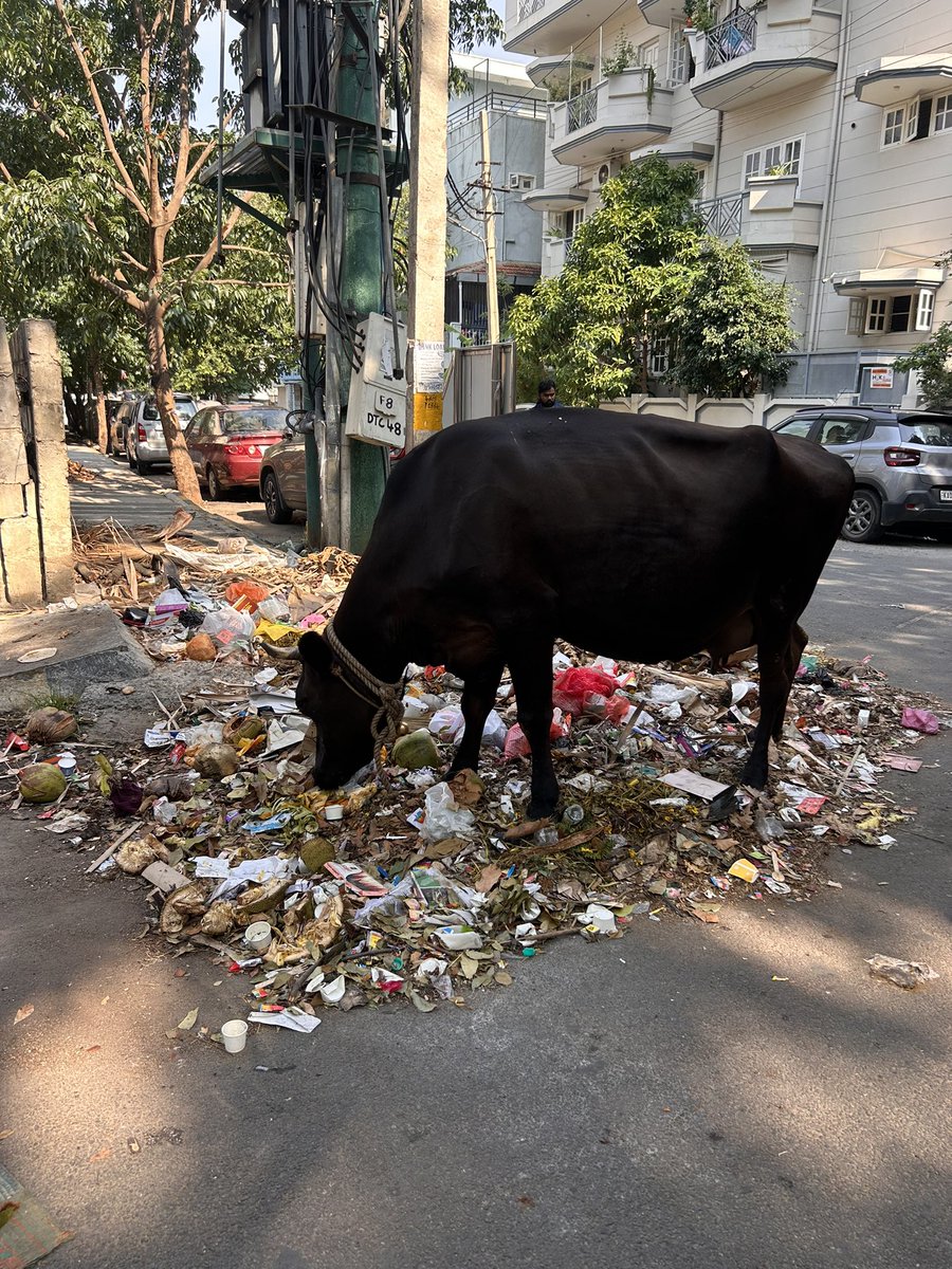 hemsdoc's tweet photo. Good morning #startup capital of the world #Bengaluru….
How does it feel to wake up to this??
You call yourselves problem solvers!!
Is there a smart solution for this?
Like #blinkit for trash for eg?
10 min #trashit solutions for the city??
Clearly the municipalities are clueless!
And totally redundant!
And I think bengaluru can do without them!
@ICCCBengaluru @GBA_office