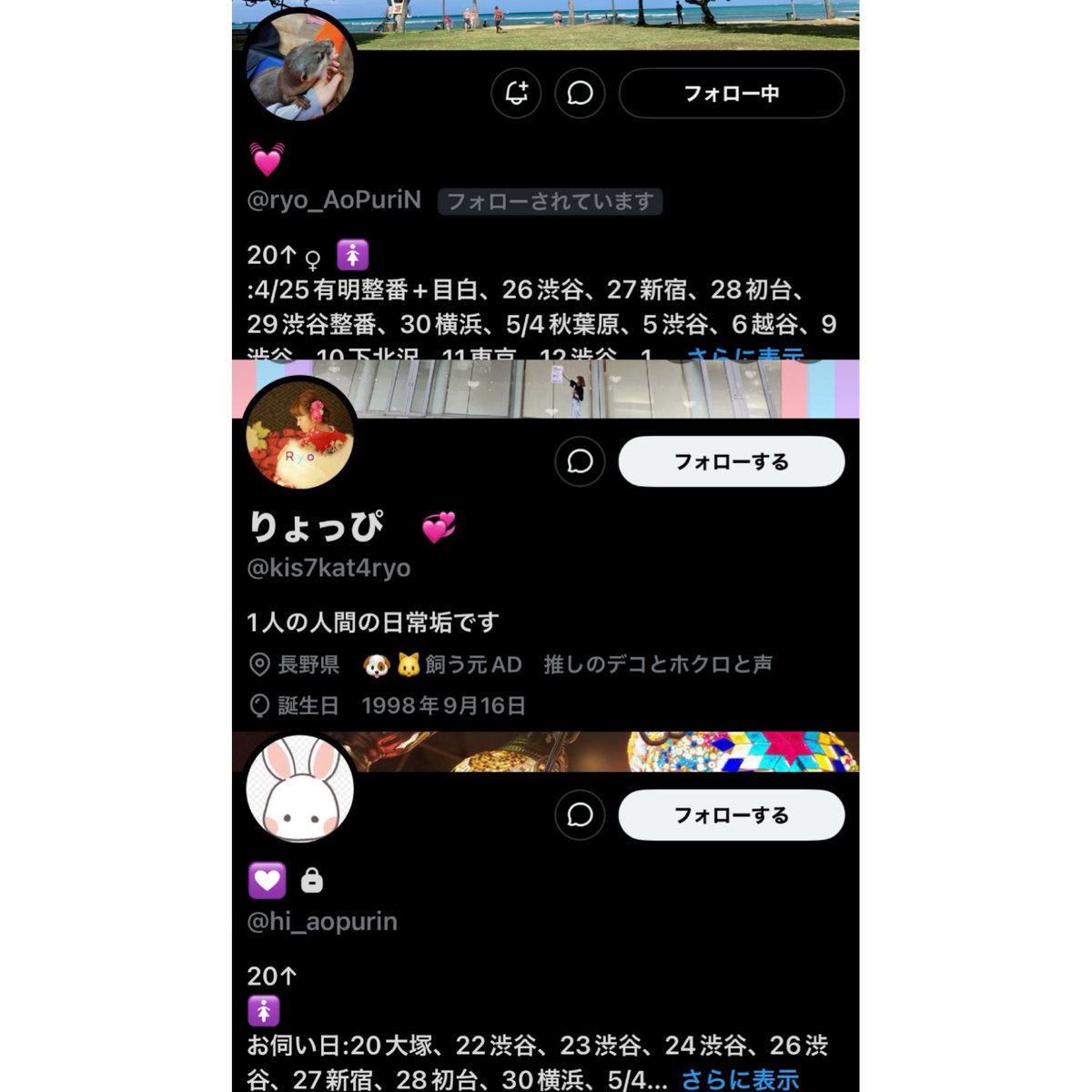🎀 tweet media