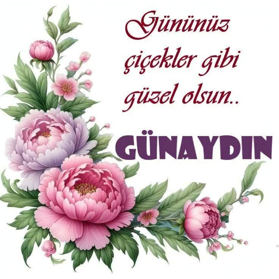Battal Ergin tweet media