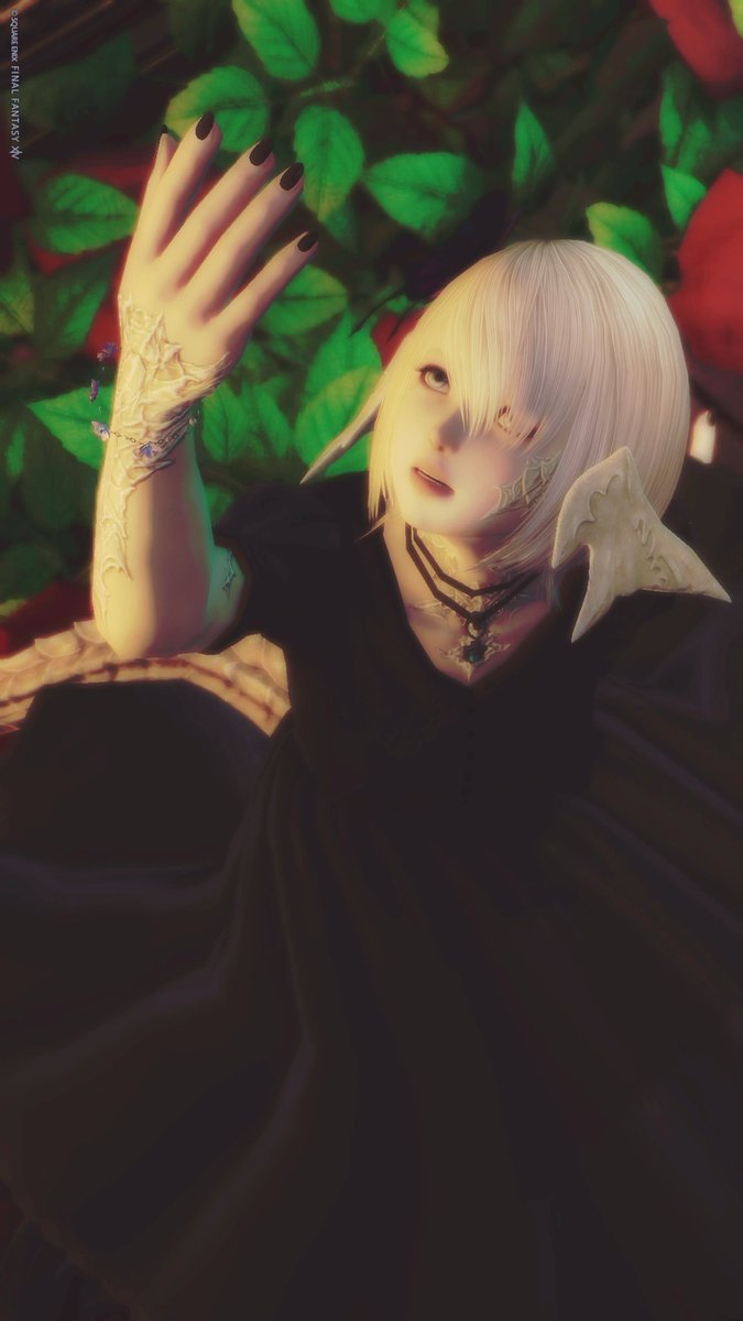 🐰ᩚʏ𝘂𝘂ෆ⸒⸒ tweet media