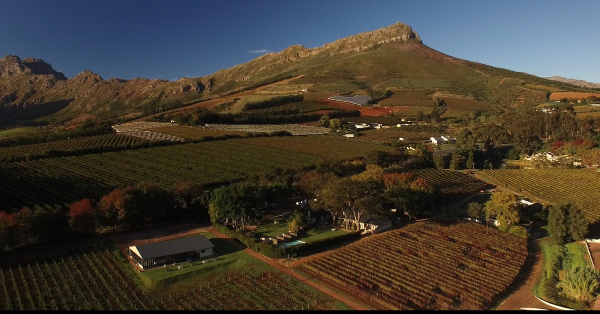 LePommier WineEstate tweet media