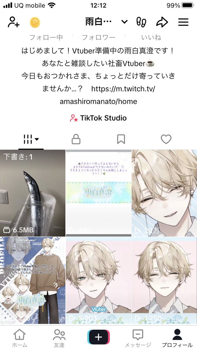 雨白真澄@新人Vtuber tweet media