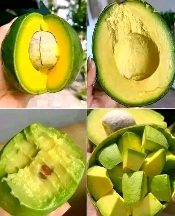 umhlangaswz's tweet photo. One of the best things about winter: avocado season! 🥳😋
With sweet potatoes, with bread, with pap & meat, or by ITSELF! 🤤
#healthy #deliciousness #kudlakwetfu #eswatini https://t.co/v4Bo1U9RiW