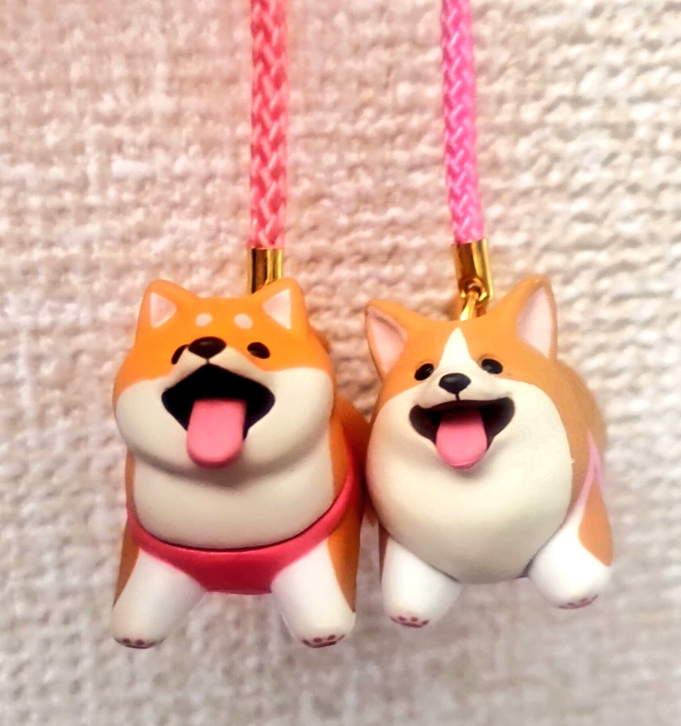 可愛かったので回してみたら 欲しかった柴犬とコーギーだった🐾 300