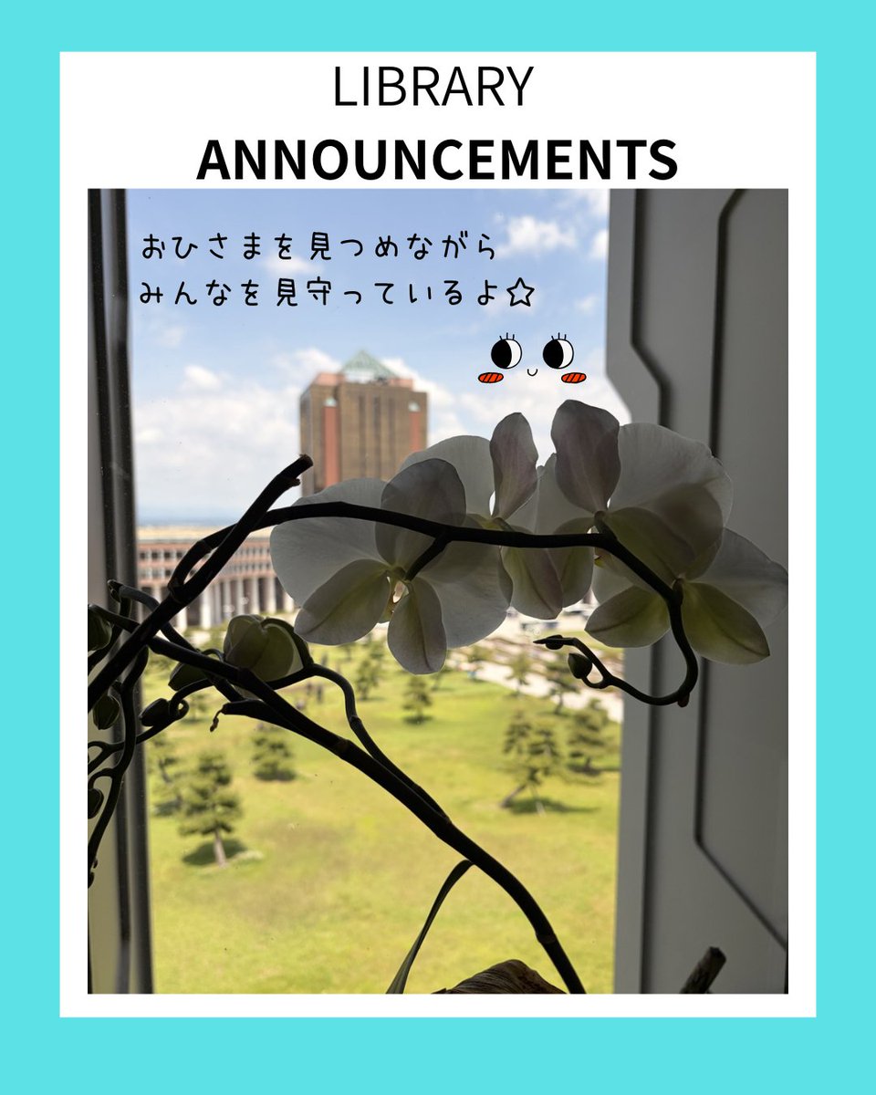 tut_library's tweet photo. 【胡蝶蘭⚘】
🏫八王子
昨年11月に小さな蕾をつけていた胡蝶蘭が、咲いてきました。
まだまだ蕾がいっぱい🌿

図書館のどこにいるのかな・・・ヒントはこのかわいらしい写真♡
本の閲覧や学修のついでに探してみてくださいね🌼

#東京工科大学
#胡蝶蘭
#閲覧席 https://t.co/0M4FWwOzjT