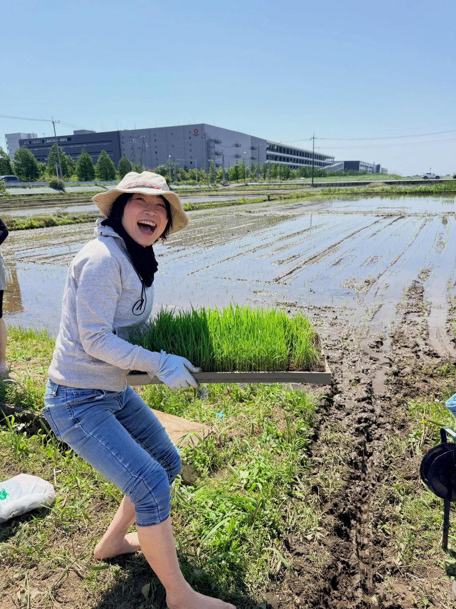 先日は人生初の田植え（実家は目の前が一面田んぼで育ったのに💦） え