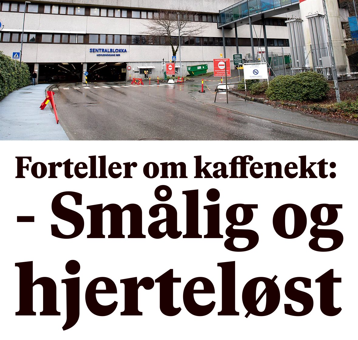 Esther Moe tweet media