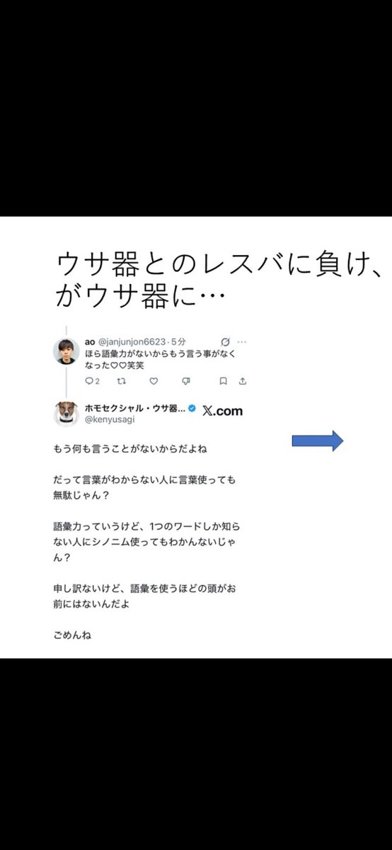 ホモセクシャル・ウサ器(うさぎ) tweet media