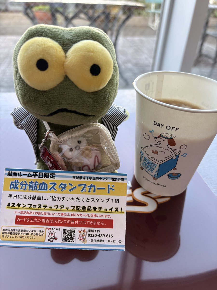 うさぎ@猪突猛進🐗✨ tweet media