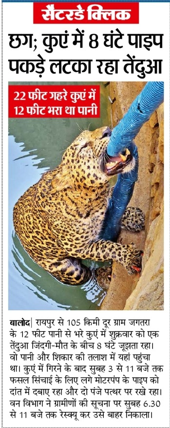 Sumit_Modi13's tweet photo. This incident stands as a powerful reminder that animals, like humans, possess immense determination and an equally strong desire to survive. Recognizing this, humans should refrain from taking animal lives for food or pleasure. Live and let live. #Environment https://t.co/pAppaWX8Uc