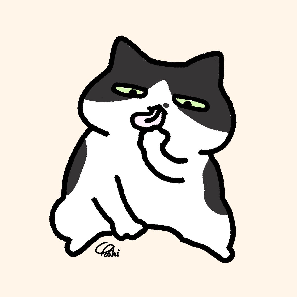 Yoshi(元猫カフェスタッフ) tweet media
