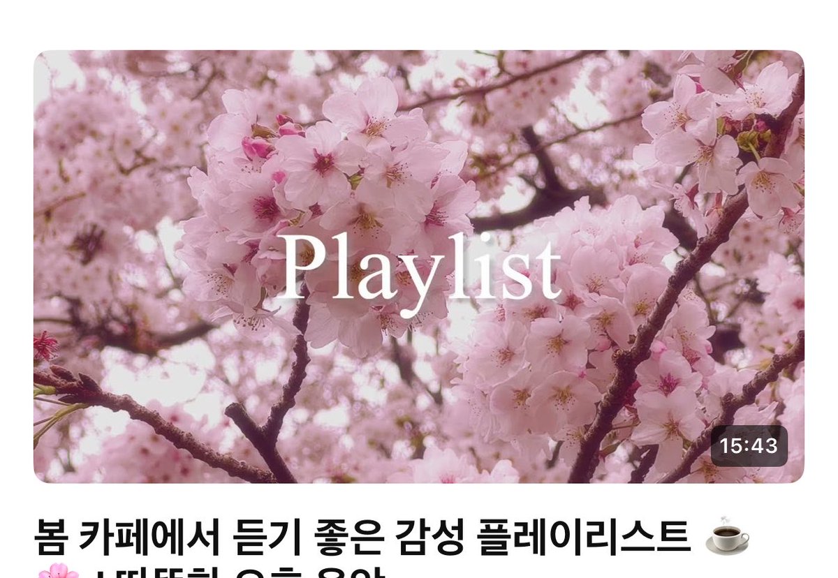 쵸쵸🌱 tweet media