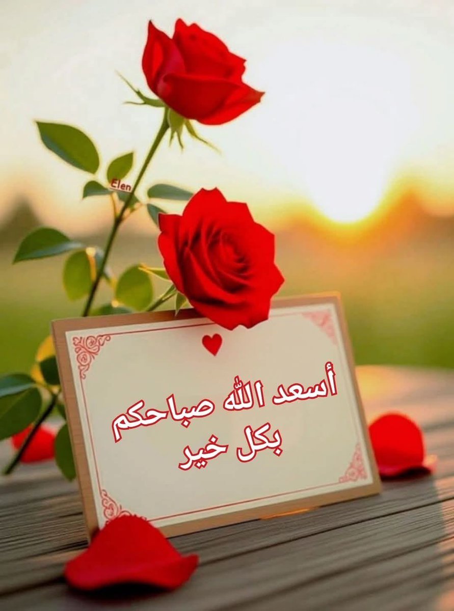 ABDELAZIM🇵🇸 tweet media