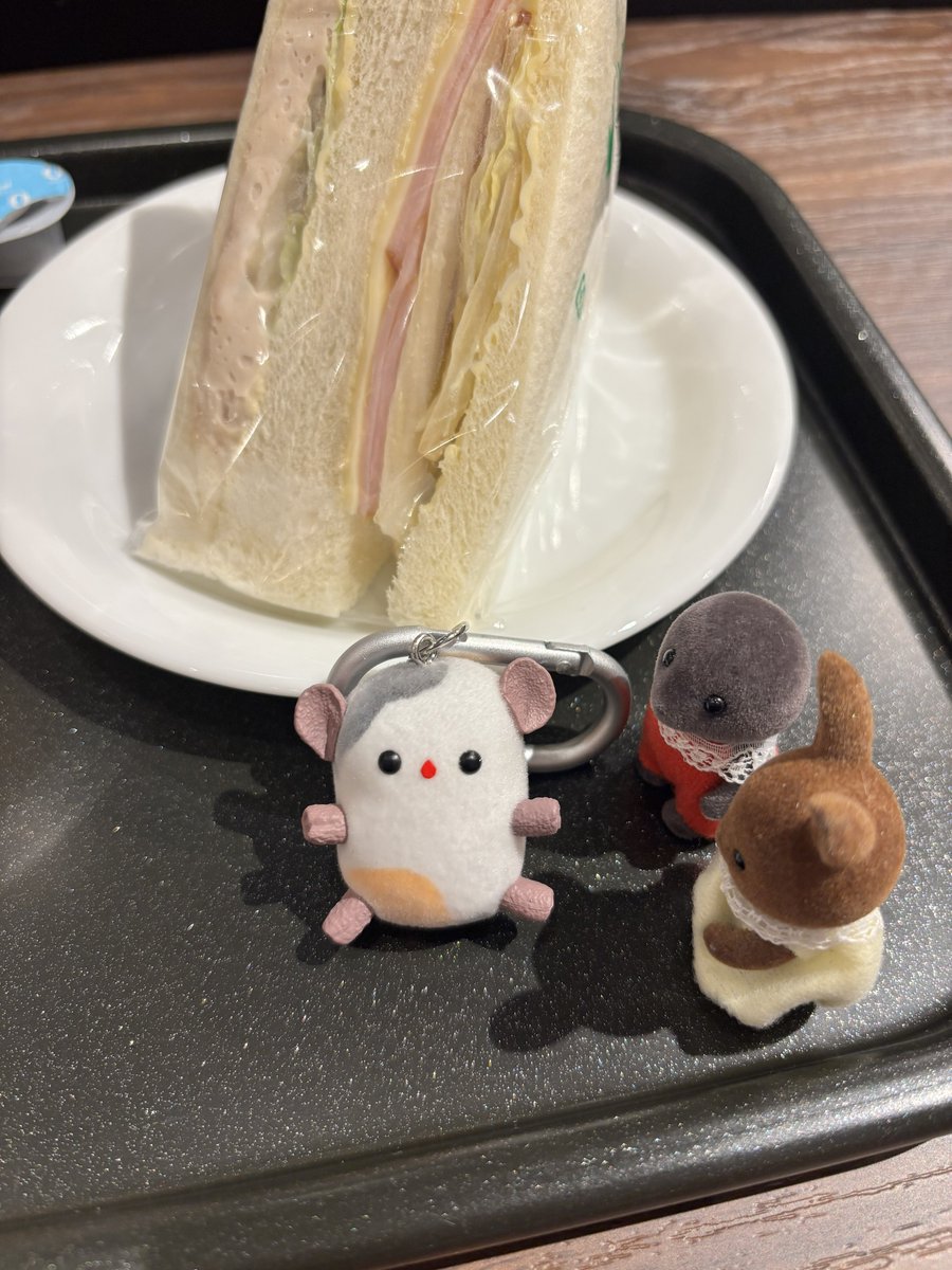 wIdofsheep's tweet photo. 鷺ノ宮 ベローチェ

一人客が多くて静かで居心地良かった
コーヒー安いのに美味しい
クーポンがあるのでまた行きたい☕️

#シルバニア #シルバニアファミリー
#シルバニア好きな人と繋がりたい https://t.co/pGqzANiAuf