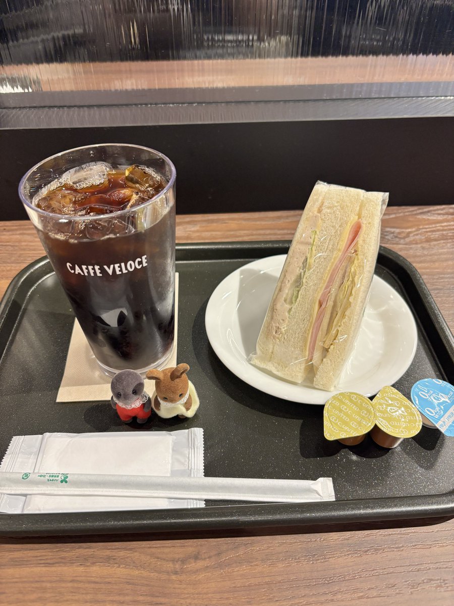 wIdofsheep's tweet photo. 鷺ノ宮 ベローチェ

一人客が多くて静かで居心地良かった
コーヒー安いのに美味しい
クーポンがあるのでまた行きたい☕️

#シルバニア #シルバニアファミリー
#シルバニア好きな人と繋がりたい https://t.co/pGqzANiAuf