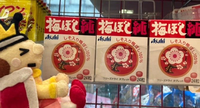 OKASHI_KING13's tweet photo. 擬似自生？！
#梅ぼし純 https://t.co/dqaGZ1gsVC