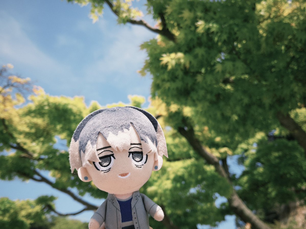 ミコぬい tweet media