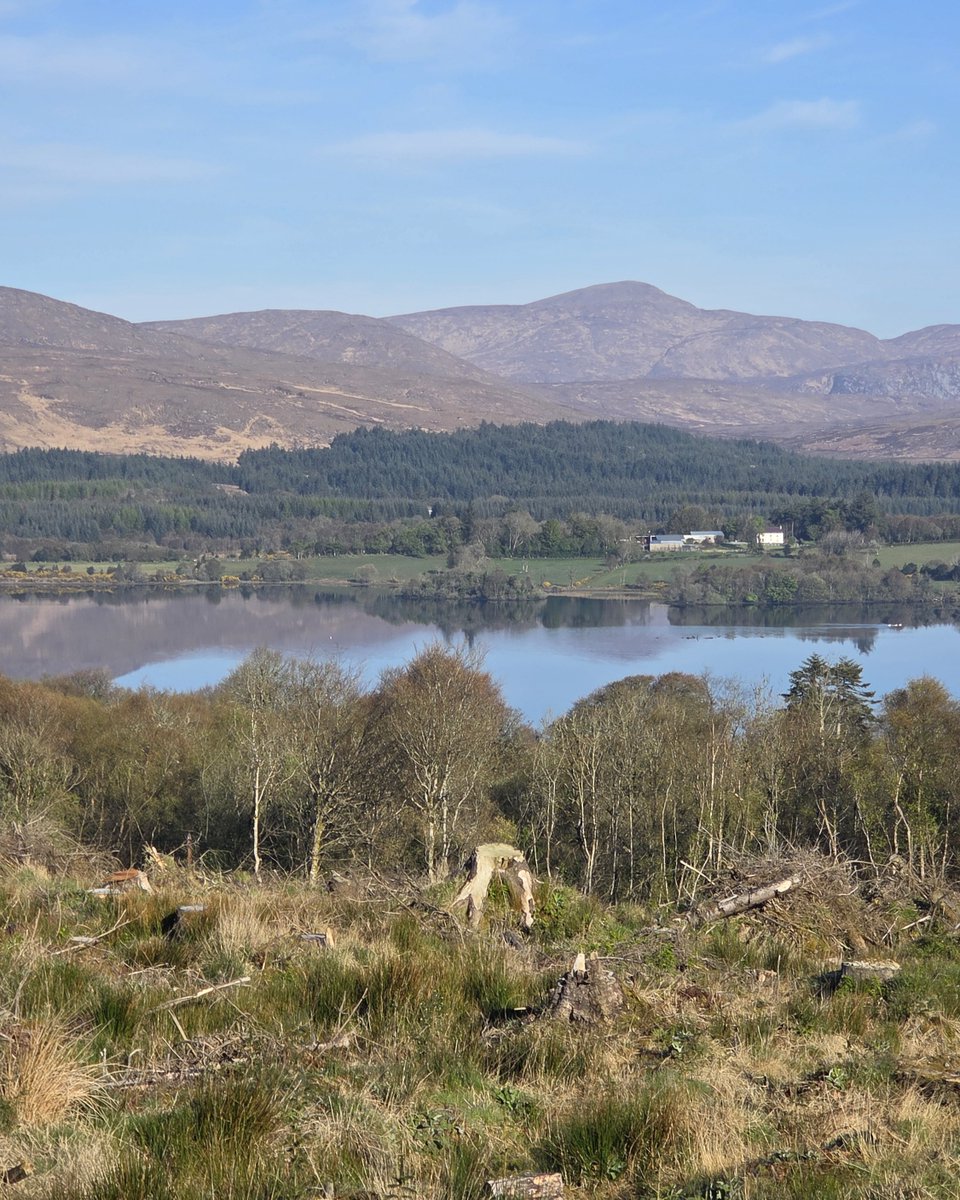 Inish View tweet media