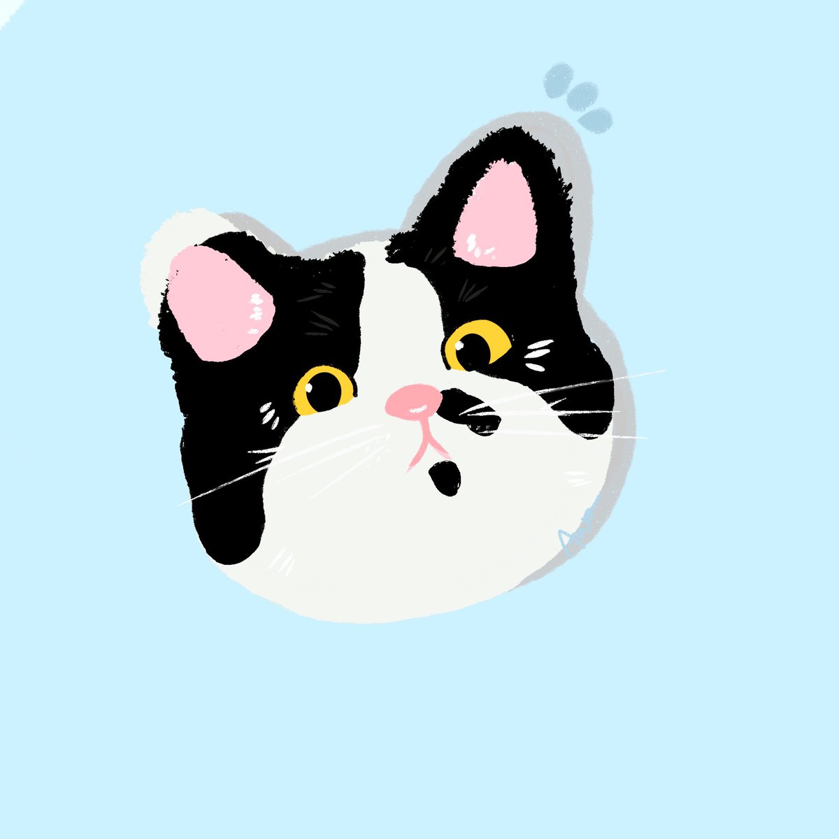 catto favo tweet media
