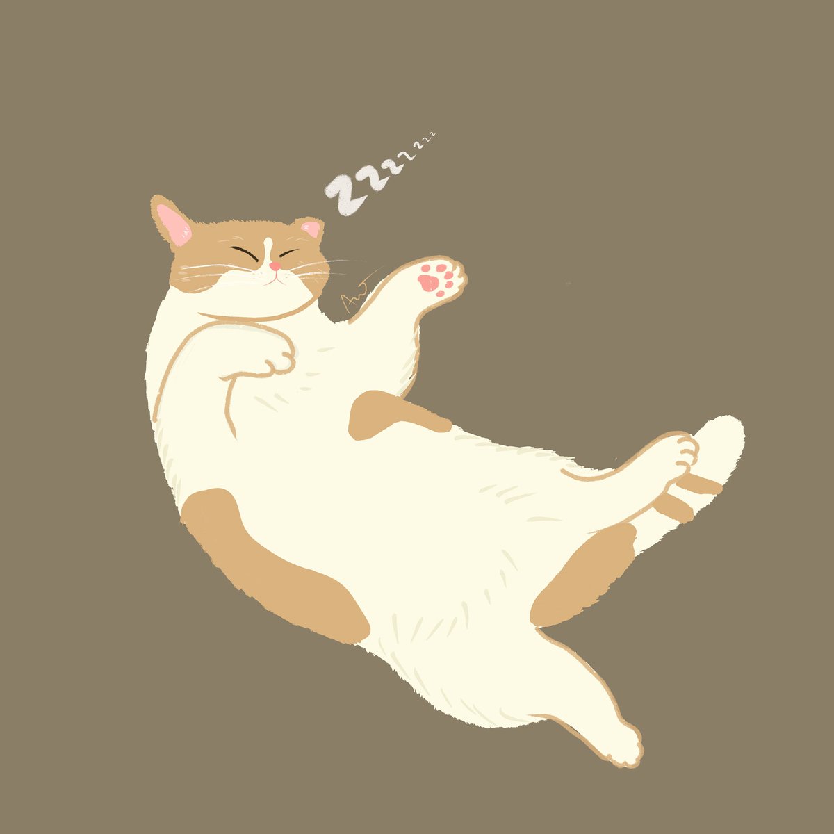 catto favo tweet media