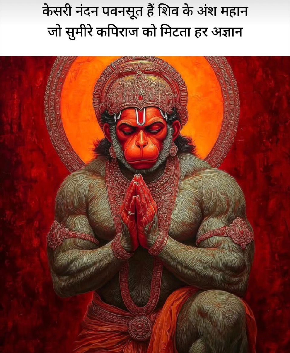Saree_ka tweet media