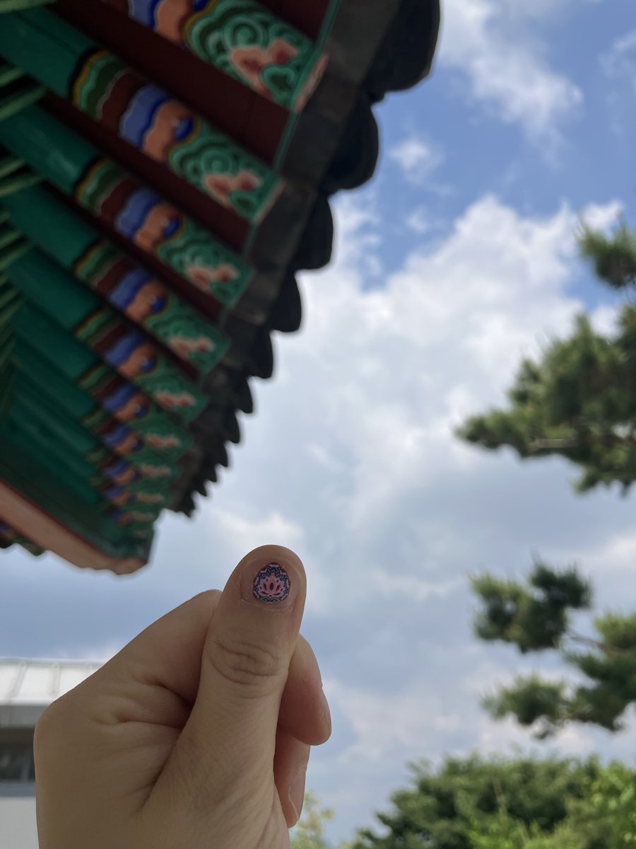 아세 tweet media