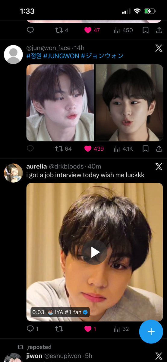 anxin 🐈‍⬛ tweet media