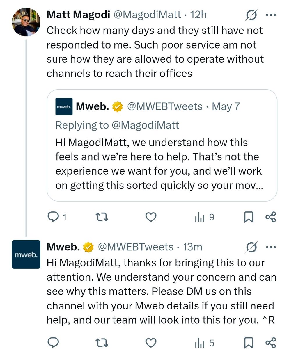 Mandy Collins tweet media