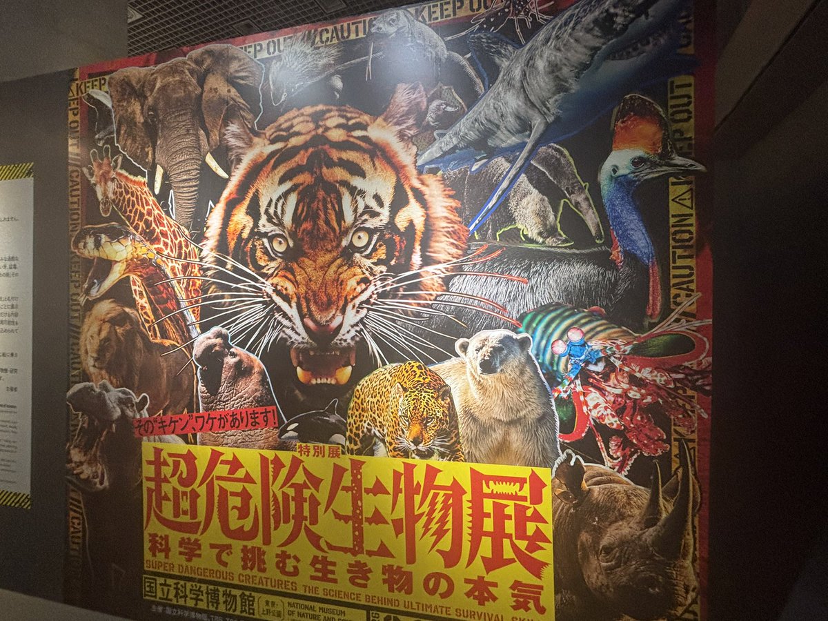 Yukkuri_kz's tweet photo. なにが超かぐや姫だこっちは超危険生物だぞ https://t.co/3Ed4xjYm2e