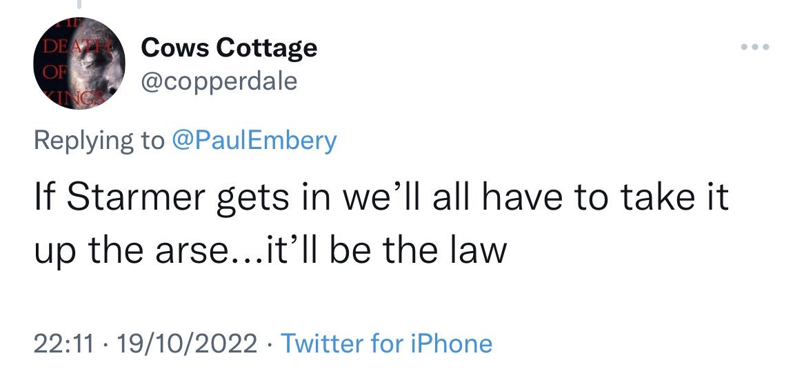 katie tweet media
