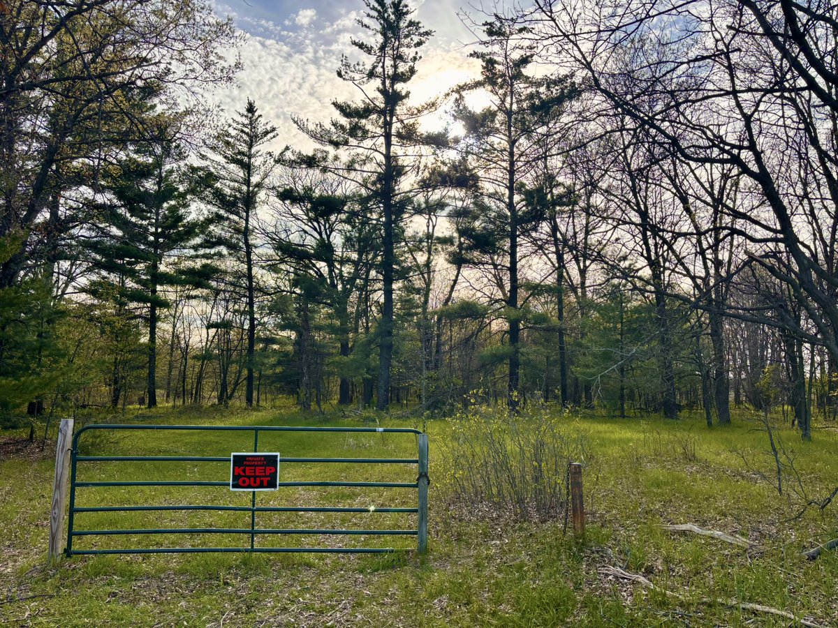 herbertkhaury's tweet photo. Little ed gein adventure today https://t.co/2PUkkPwrBp