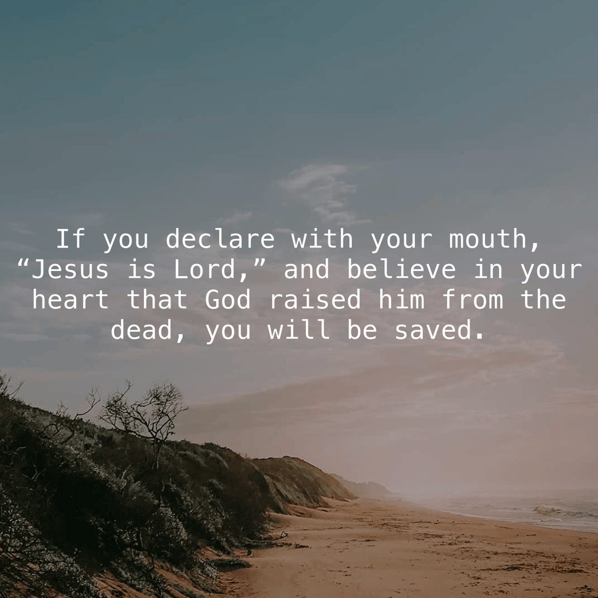 God's_own tweet media