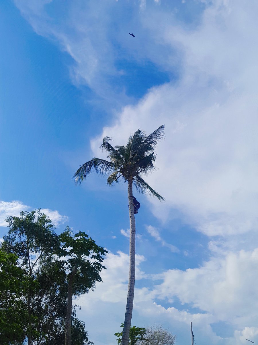 AKPAN OKON IBIONO 🌴 tweet media