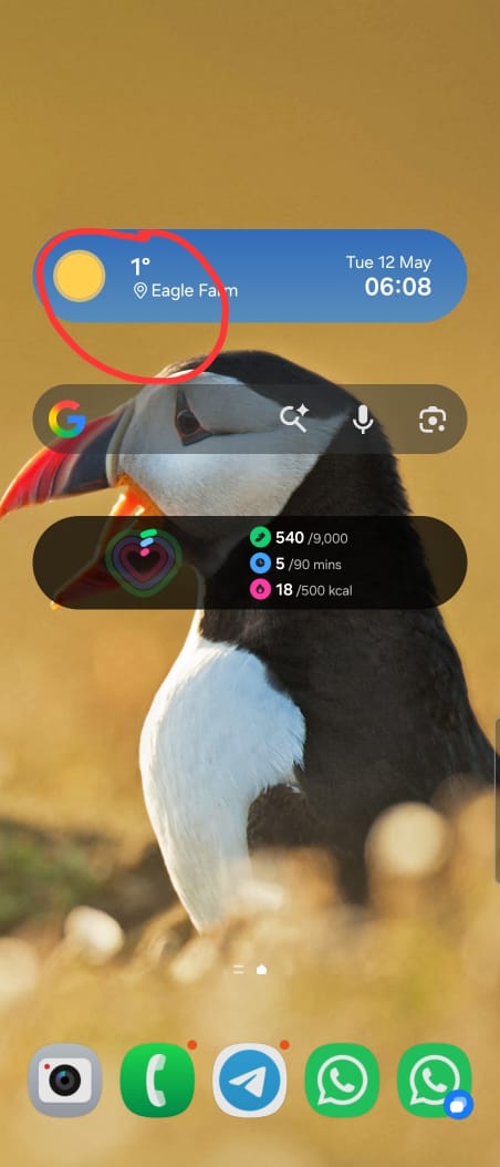 Chxta tweet media